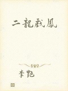 二龙戏凤