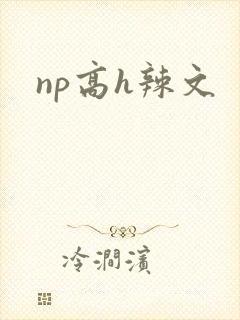 np高h辣文