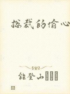 总裁的偷心娇妻