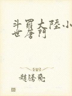 斗罗大陆小说绝世唐门