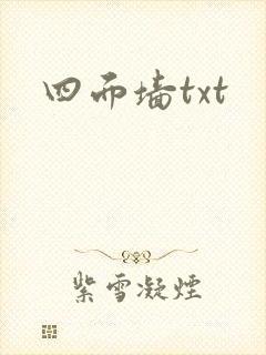 四面墙txt封面