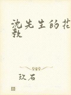沈先生的花式调教