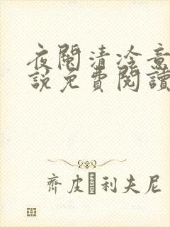 夜阑清冷意欢小说免费阅读