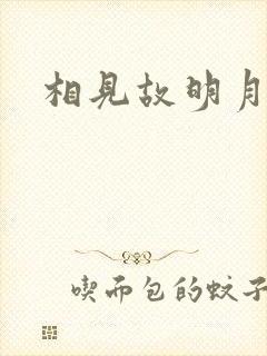 相见故明月