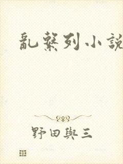 乱系列小说封面
