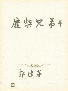 废柴兄弟4封面