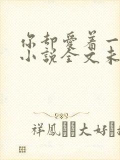 你却爱着一个他小说全文未删减免费