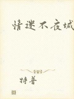 情迷不夜城