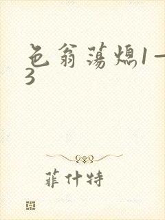 色翁荡熄1—13封面