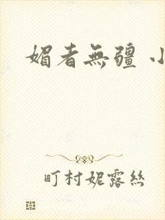 媚者无疆 小说
