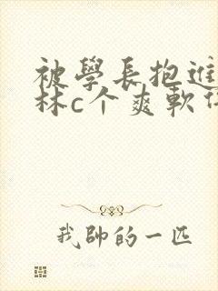 被学长抱进小树林c个爽软件