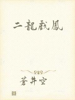 二龙戏凤