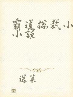 霸道总裁小娇妻小说
