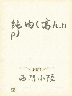 纯肉(高h.np)