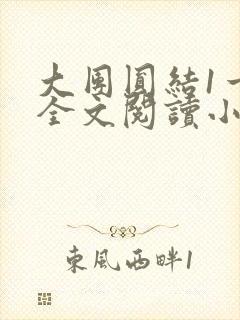大团圆结1一6全文阅读小说