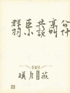 群臣共享公主银羽小说叫什么
