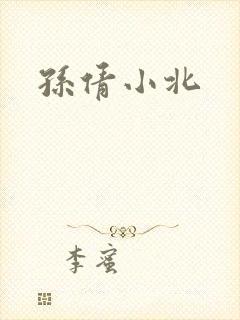孙倩小北封面