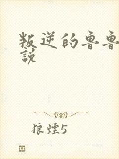 叛逆的鲁鲁修小说