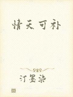 情天可补