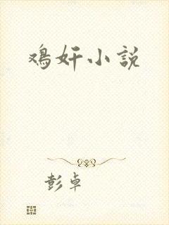 鸡奸小说