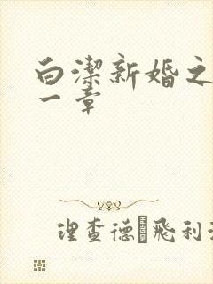 白洁新婚之夜第一章