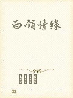 白领情缘