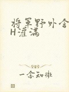 将军野外含公主H灌满