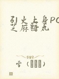 引火上身POP芝麻糖丸