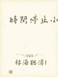 时间停止小说