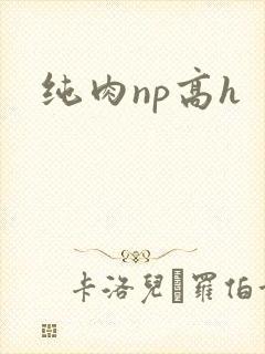 纯肉np高h封面