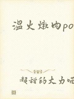 温火炖肉pop