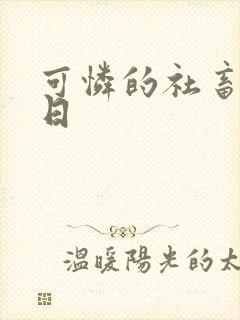 可怜的社畜东度日
