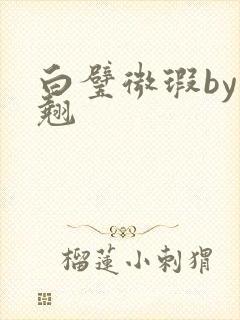 白璧微瑕by连翘