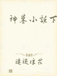 神墓小说下载