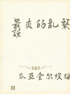 最爽的乱系列小说