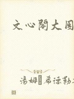 文心阁大团结