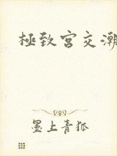 极致宫交潮喷h