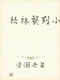 丝袜系列小说