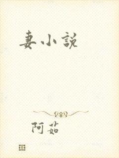 妻小说