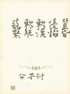苏软软优质灌溉系统汉怡昏