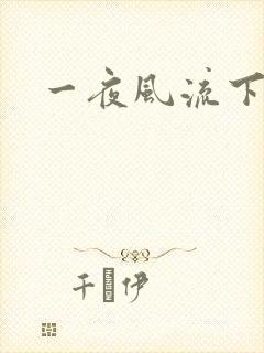 一夜风流下载封面