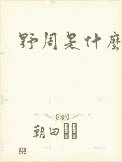 野周是什么意思