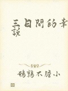 三日间的幸福小说