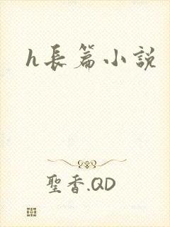 h长篇小说封面