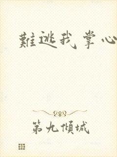 难逃我掌心封面