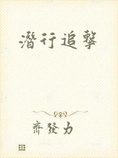 潜行追击