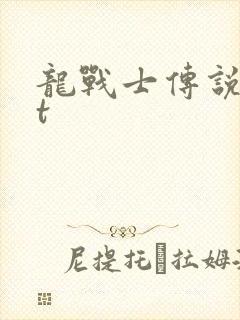 龙战士传说txt
