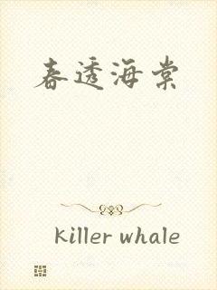 春透海棠