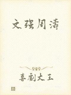 文强周涛