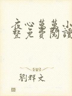 夜心万万小说完整免费阅读全文封面